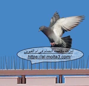 [صورة: %D8%B4%D8%B1%D9%83%D8%A9-%D9%85%D9%83%D8...00x291.jpg]