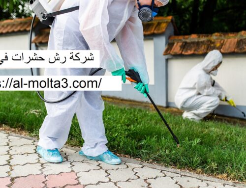 شركة رش حشرات في دبي |0582750512| رش مبيدات