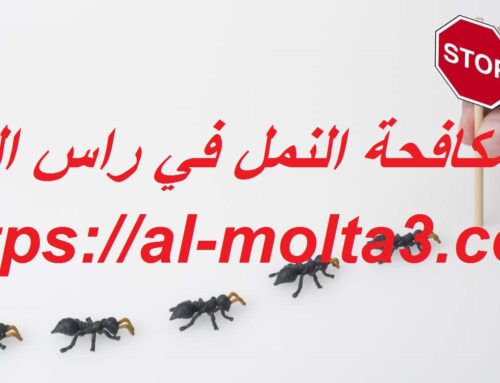 شركة مكافحة النمل في راس الخيمة |0521915027