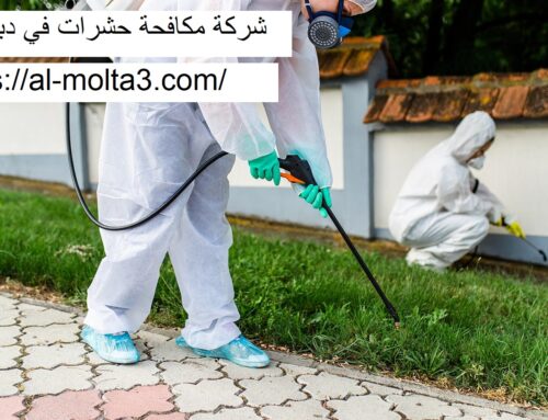 شركة مكافحة حشرات في دبي |0521915027| رش مبيدات