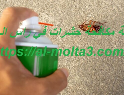 شركة مكافحة حشرات في راس الخيمة |0582750512