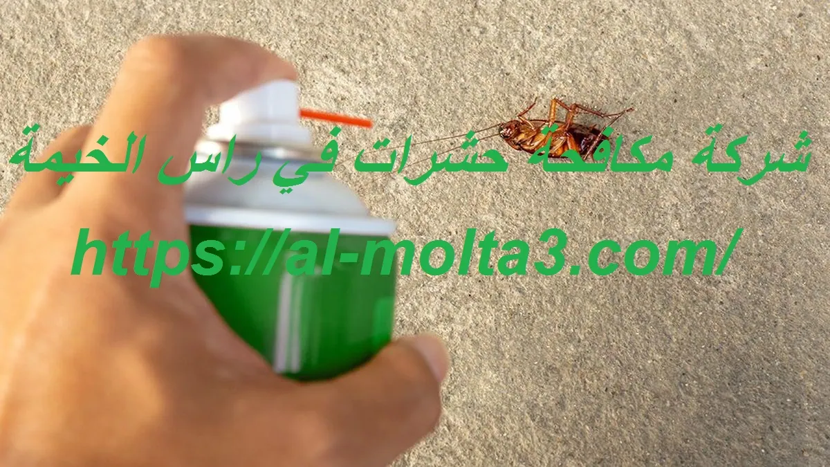 شركة مكافحة حشرات في راس الخيمة