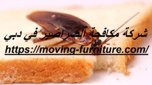 [صورة: %D8%B4%D8%B1%D9%83%D8%A9-%D9%85%D9%83%D8...00x169.jpg]