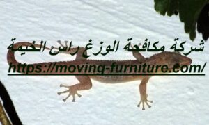 [صورة: %D8%B4%D8%B1%D9%83%D8%A9-%D9%85%D9%83%D8...00x180.jpg]