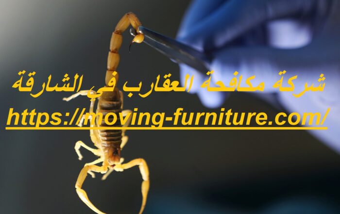 شركة مكافحة العقارب في الشارقة