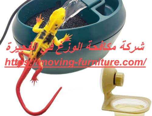 شركة مكافحة الوزغ في الفجيرة |0521915027| مكافحة البرص