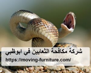 [صورة: %D8%B4%D8%B1%D9%83%D8%A9-%D9%85%D9%83%D8...00x240.jpg]