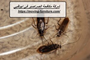 [صورة: %D8%B4%D8%B1%D9%83%D8%A9-%D9%85%D9%83%D8...00x200.jpg]