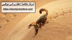 [صورة: %D8%B4%D8%B1%D9%83%D8%A9-%D9%85%D9%83%D8...00x169.jpg]