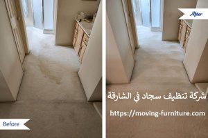 شركة تنظيف سجاد في الشارقة