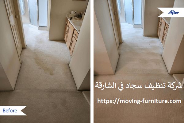 شركة تنظيف سجاد في الشارقة