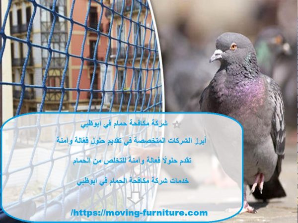 شركة مكافحة حمام في ابوظبي