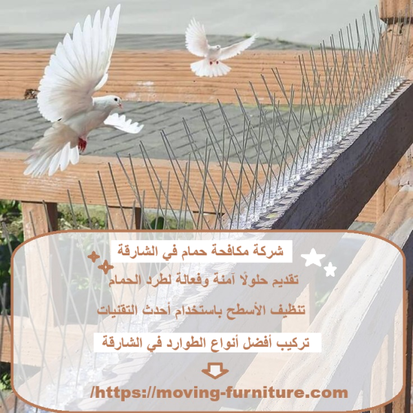 شركة مكافحة حمام في الشارقة