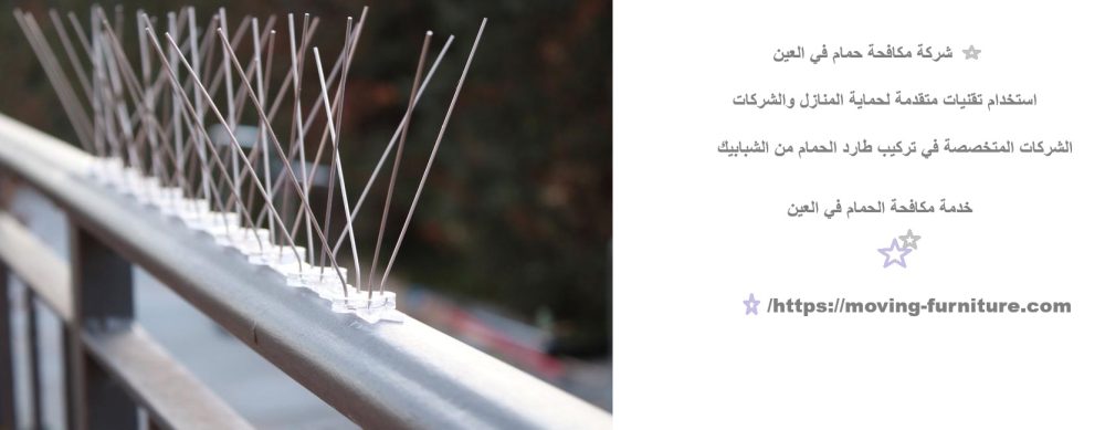 شركة مكافحة حمام في العين