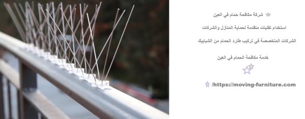 شركة مكافحة حمام في العين