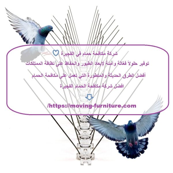 شركة مكافحة حمام في الفجيرة