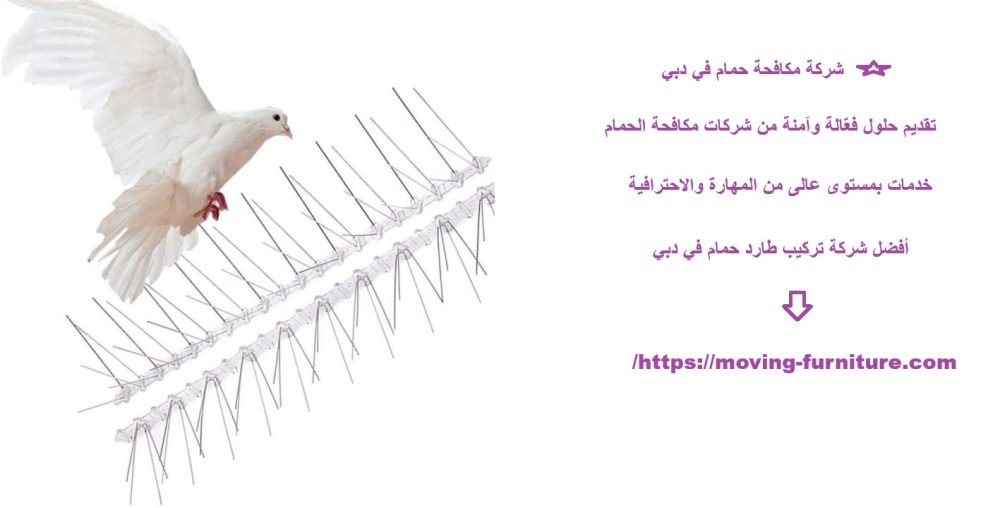 شركة مكافحة حمام في دبي