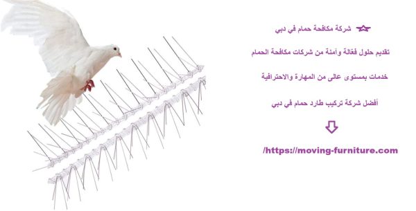 شركة مكافحة حمام في دبي