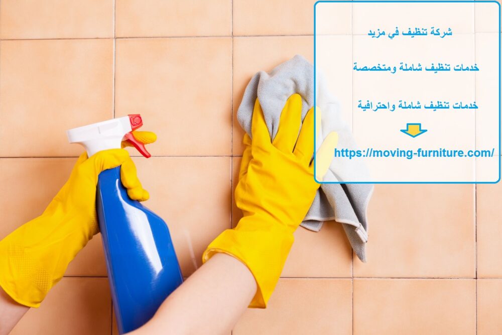 شركة تنظيف في مزيد
